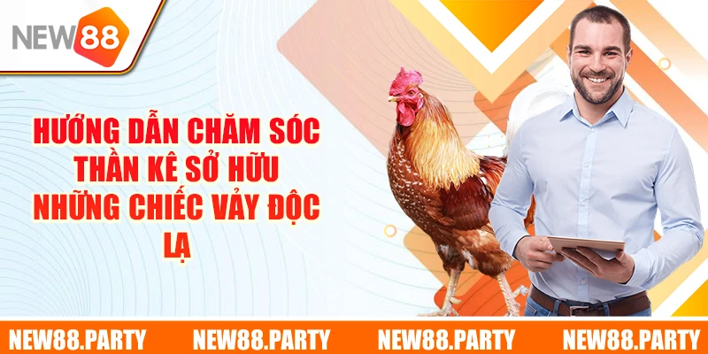 Hướng dẫn chăm sóc thần kê sở hữu những chiếc vảy độc lạ